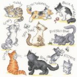 (image for) Meow!